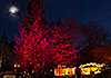 Herzblut Weihnachtsmarkt Ismaning Korbinianplatz